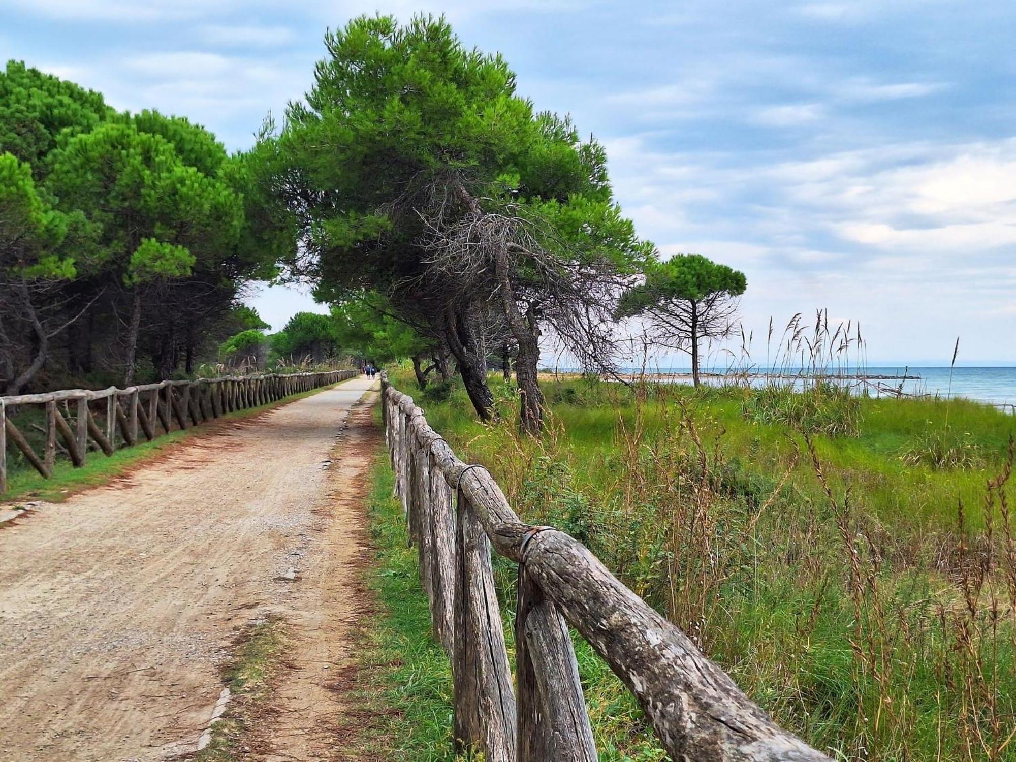 Recently Built Flat With Swimming Pool And Balcony Apartment Bibione